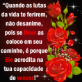 /album/fotos-diversas-/a16386-823614881024161-4894674586394922517-n-png/